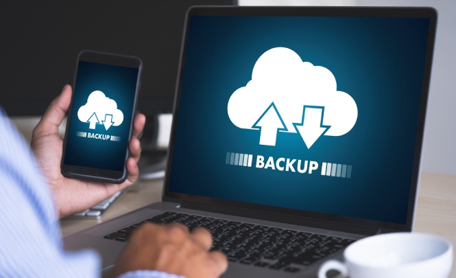 La importancia de los backup online